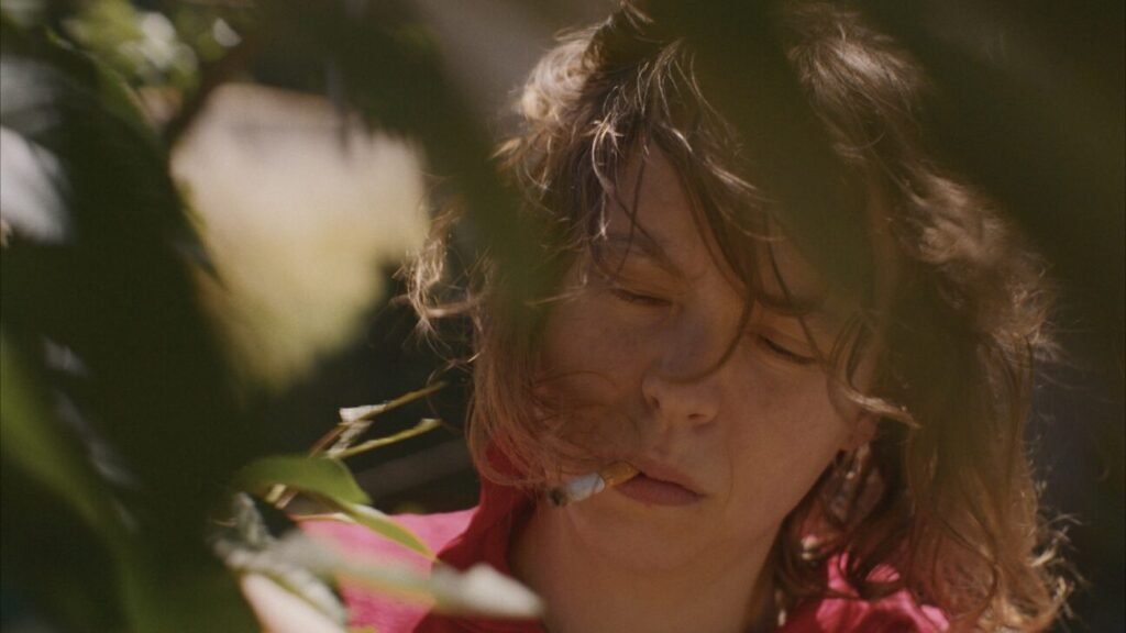 'La belle année' by Angelica Ruffier